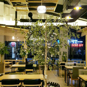 A Smoking Caf&eacute; in Suncheon with Trees and Wooden Interior / upkorea.net