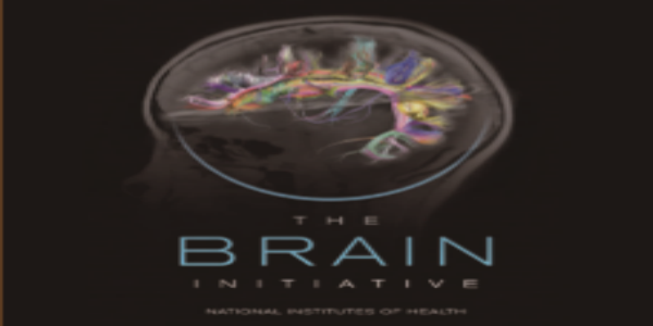 The BRAIN Initiative / bioopticsworld.com