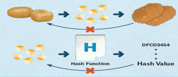 Nearly Irreversible Characteristics of the Hash Function