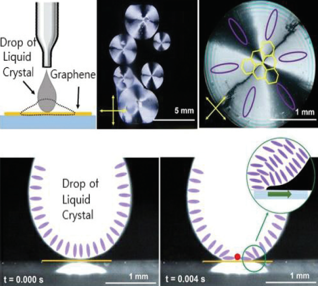 Six Domains of the Liquid Crystal (LC) Drop on a Clean and Pure Graphene (yonhapnews.co.kr)