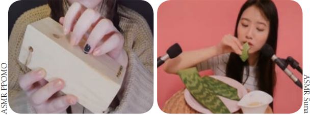 Wood Tapping ASMR Video(left) Aloe Eating Sound ASMR Video(right)