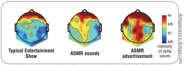 KIST and Donga Science conducted an experiment of six people, which showed that ASMR increased delta waves in their brains.