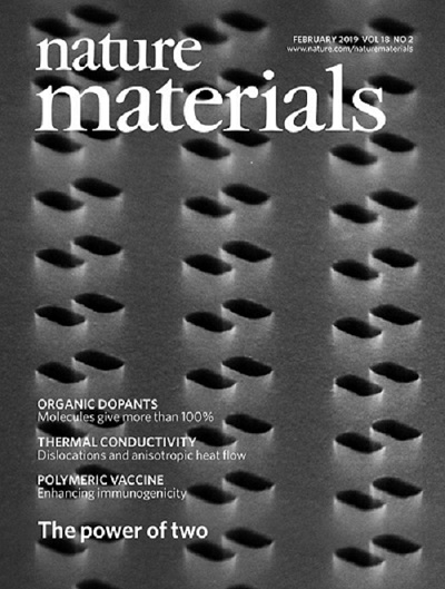 The Cover of the February Issue of Nature Materials (twitter.com/naturematerials)