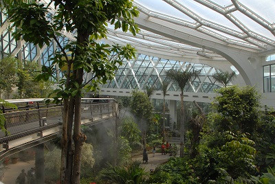 Skywalk in the Tropical Region Part of the Conservatory