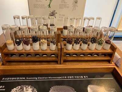 Visitors can observe seed species in Seed Library.