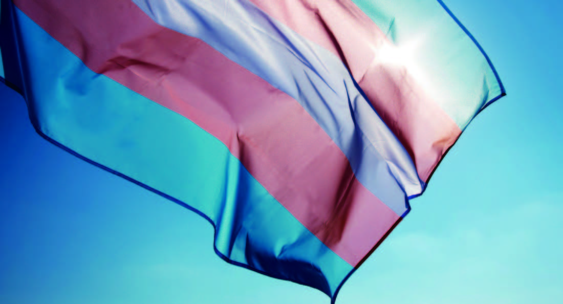 The Transgender Flag (citynews1130.com)