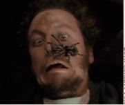 A Real Spider on the Thief’s Face(20th Century Fox)