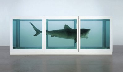 The Physical Impossibility of Death in the Mind of Someone Living by Damien Hirst (damienhirst.com)