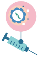 mRNA Vaccine (cdc.gov)