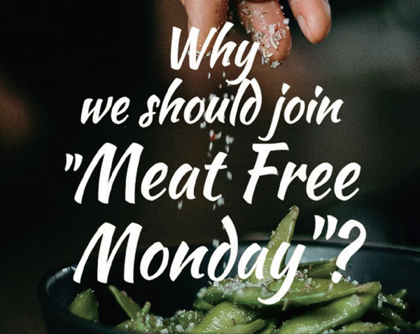 Meat Free Monday Campaign (meatfreemonday.co.kr)