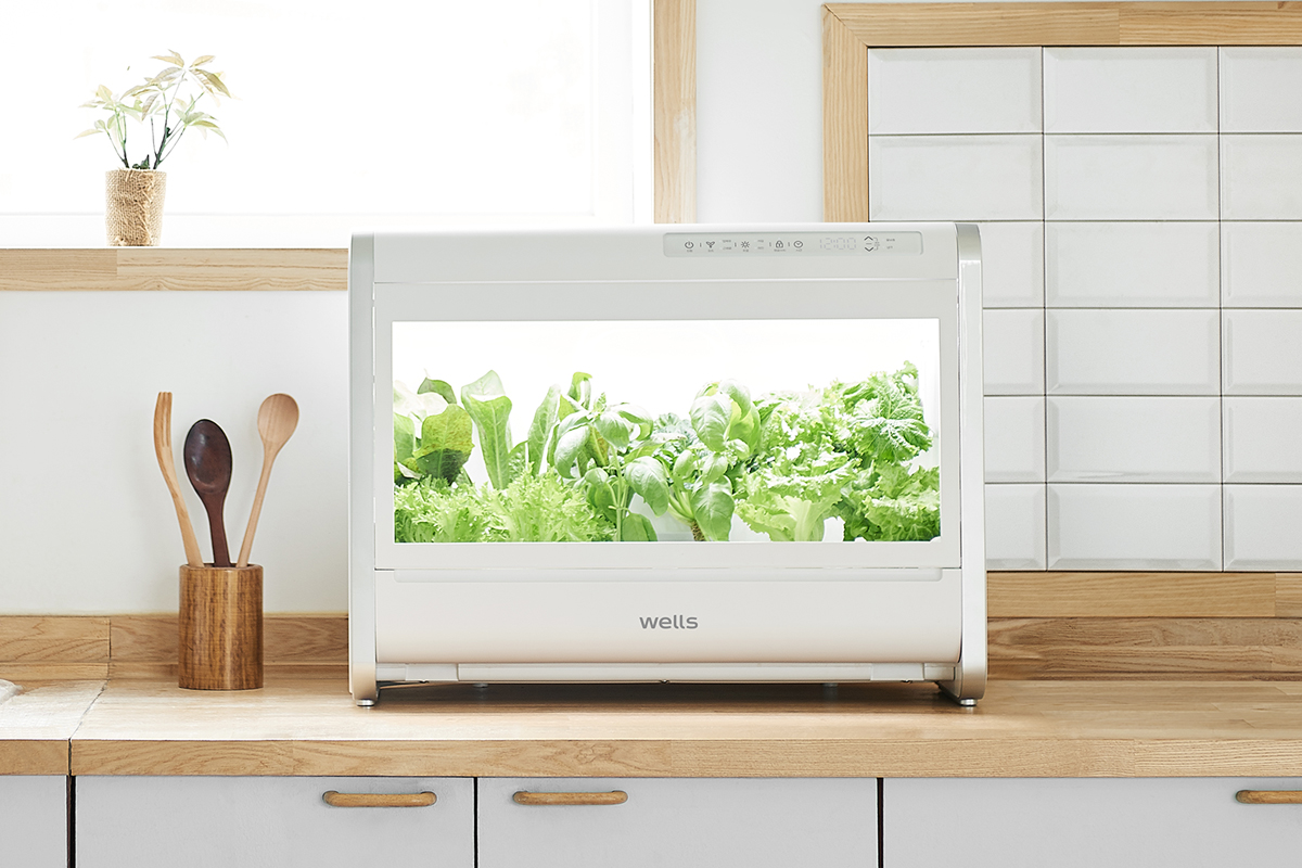 Indoor Vegetable Cultivator Made by Kyowon Wells (newstomato.com)