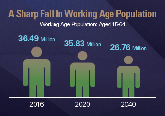 The Fall in Working Age Population