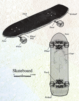 Skateboard Diagram with Labels of Parts (researchgate.net)