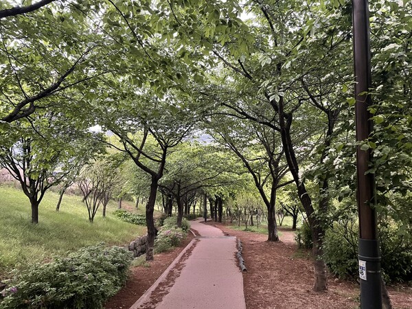 Cheongun Park