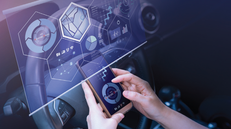 Dim Shadow of Development