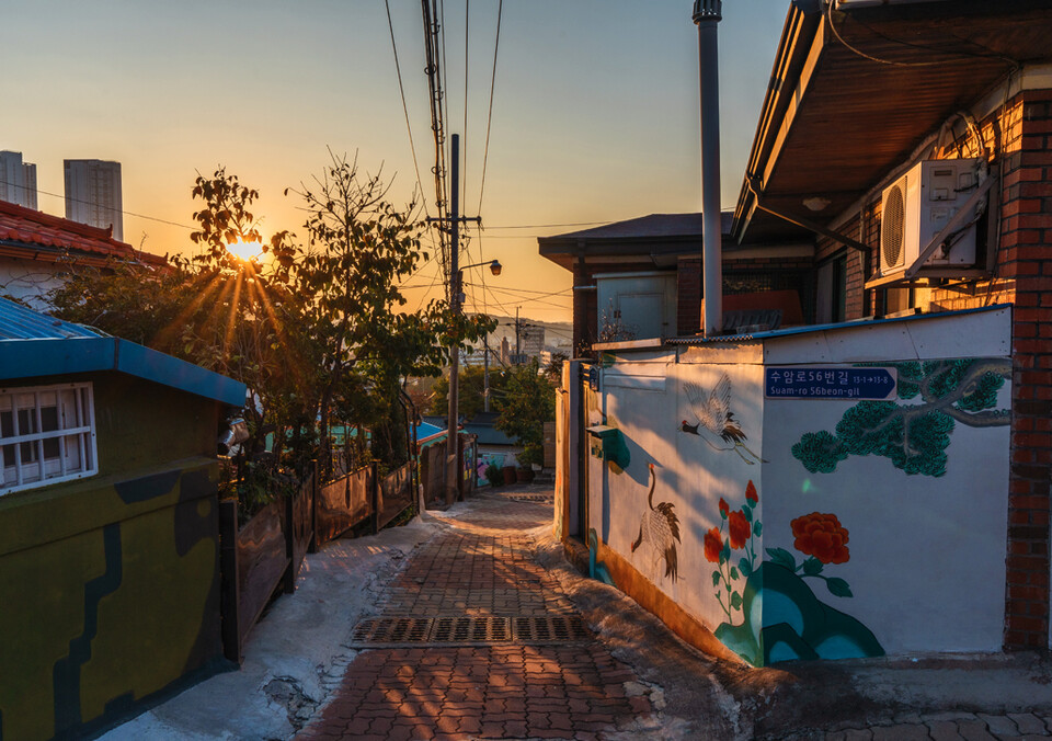 The Alley of Suamgol (suamgol.com)