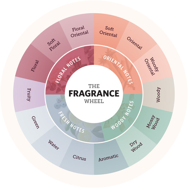 The Fragrance Wheel by Michael Edwards (fragrancex.com)