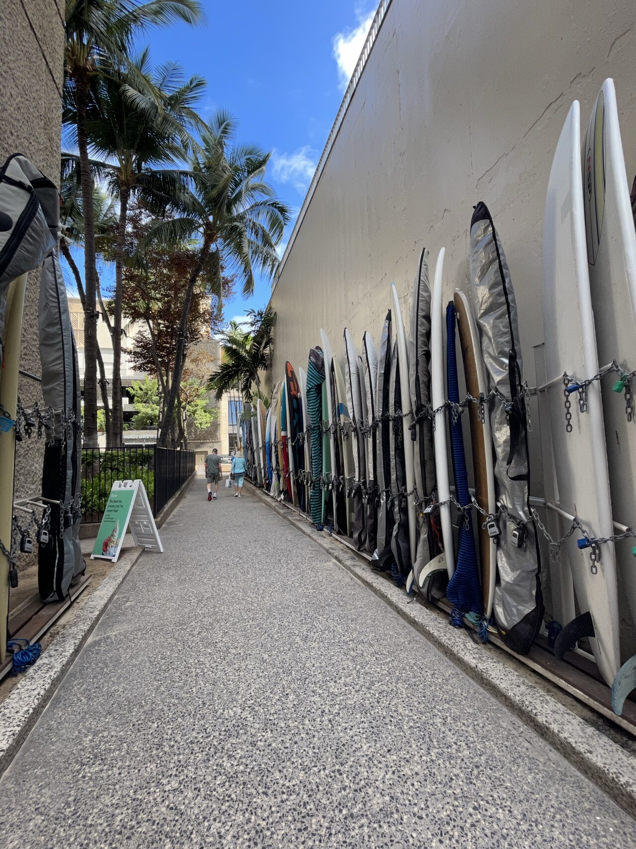 Surfboards Lined up on Waikiki Beach