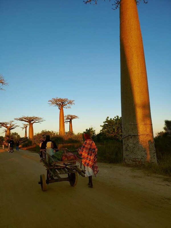 A Snapshot of Africa by Professor Cho Won-Bin