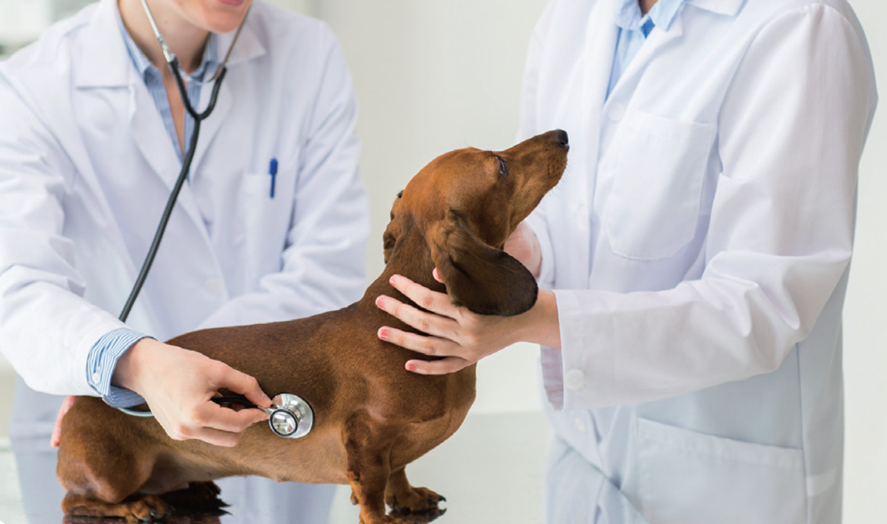 Where Care Meets Innovation