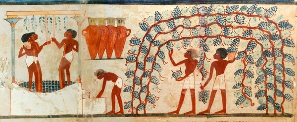 Wine in Ancient Egyptian Art (italysfinestwines.it)