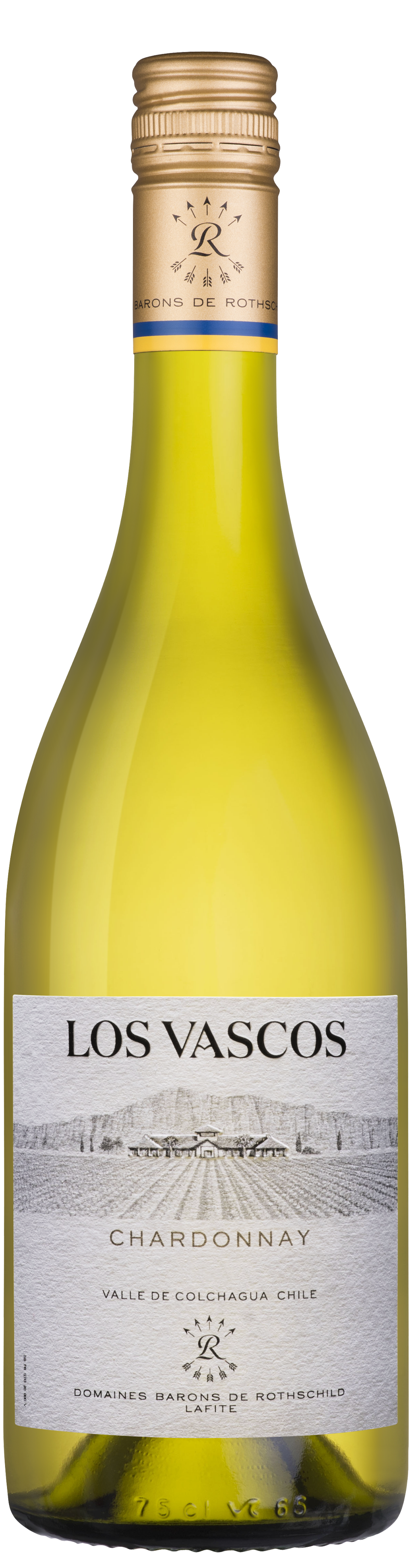Los Vascos Chardonnay 2022 (palmbay.com)
